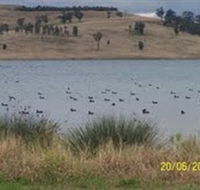 Lake Liddell Recreation Area