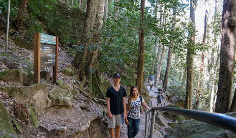 Federal Pass - Accommodation Sunshine Coast 3