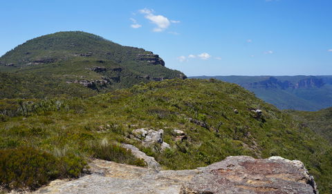Mount Banks Road Cycle Route - Accommodation Sunshine Coast 0