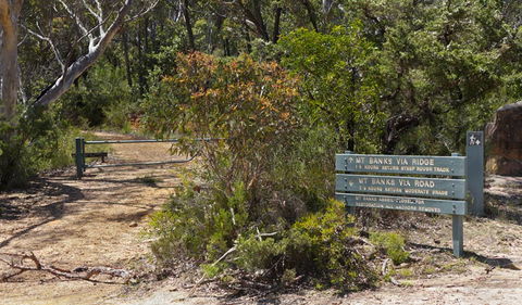 Mount Banks Road Cycle Route - Accommodation Sunshine Coast 1