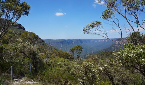 Mount Banks Road Cycle Route - Accommodation Sunshine Coast 2