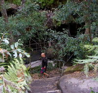 Leura Cascades Fern Bower - Accommodation Sunshine Coast