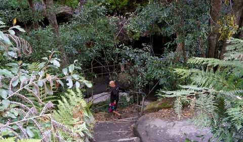 Leura Cascades Fern Bower - Accommodation Sunshine Coast 0