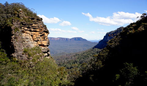 Leura Cascades Fern Bower - Accommodation Sunshine Coast 1
