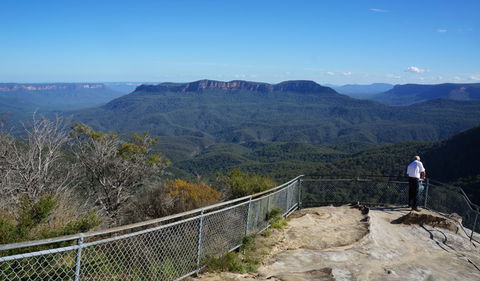 Leura Cascades Fern Bower - Accommodation Sunshine Coast 2