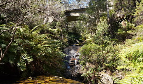 Leura Cascades Fern Bower - Accommodation Sunshine Coast 3