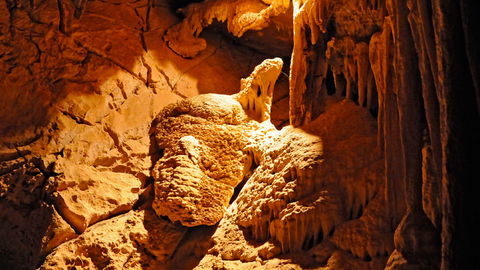 Wombeyan Karst Conservation Reserve - Accommodation Sunshine Coast 2