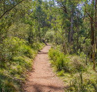 Mares Forest Creek walking track - Accommodation Sunshine Coast