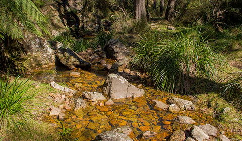 Wombeyan Waterfall Walking Track - Accommodation Sunshine Coast 1