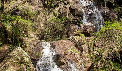 Wombeyan Waterfall Walking Track - Accommodation Sunshine Coast 3