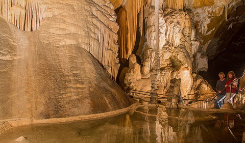 Junction Cave - Accommodation Sunshine Coast 0