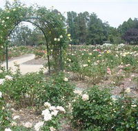 Victoria Park Rose Garden - Accommodation Sunshine Coast