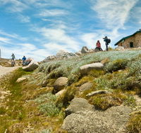Mount Kosciuszko Summit walk - Accommodation Sunshine Coast