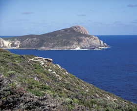 Bald Head Walking Track - Accommodation Sunshine Coast 0