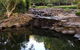 Bundaberg Botanic Gardens And Playground - thumb 1