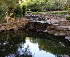 Bundaberg Botanic Gardens And Playground - Accommodation Sunshine Coast 1