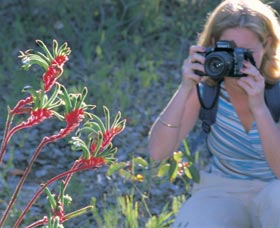 Kalamunda National Park - Accommodation Sunshine Coast 1