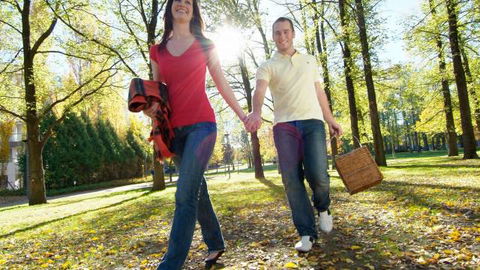 Glebe Park - Accommodation Sunshine Coast 2
