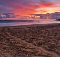 Mon Repos Beach - Accommodation Sunshine Coast