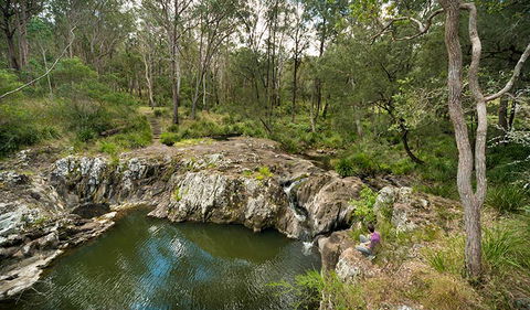 Koreelah National Park - Accommodation Sunshine Coast 2