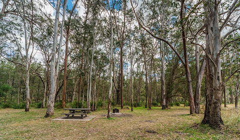 Koreelah National Park - Accommodation Sunshine Coast 3