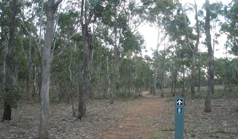  Accommodation Sunshine Coast
