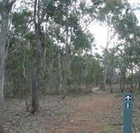 Green track - Accommodation Sunshine Coast