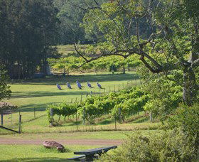 Wollombi Wines - Accommodation Sunshine Coast 8