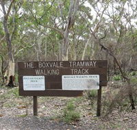 Box Vale Picnic Area - Accommodation Sunshine Coast