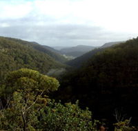 Nattai Gorge Lookout - Accommodation Sunshine Coast