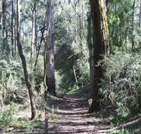 Box Vale Mine Walking Track and Lookout - Accommodation Sunshine Coast