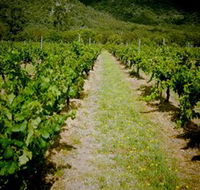Gartelmann Wines - Accommodation Sunshine Coast