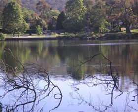 Lake Alexandra Reserve - Accommodation Sunshine Coast 2