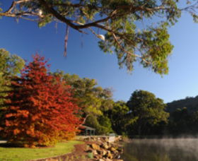 Lake Alexandra Reserve - Accommodation Sunshine Coast 1