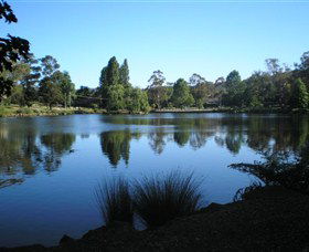 Lake Alexandra Reserve - Accommodation Sunshine Coast 3