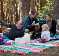 State Forests of the Watagan Mountains - Accommodation Sunshine Coast