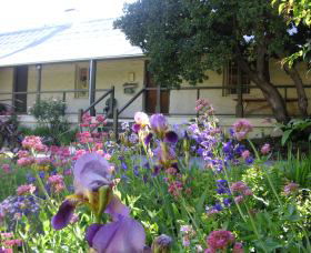 Raglan Gallery And Cultural Centre - Accommodation Sunshine Coast 0