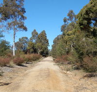 Werakata National Park - Accommodation Sunshine Coast