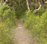 Three Views walking track - Accommodation Sunshine Coast
