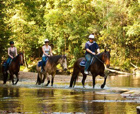 Glenworth Valley Outdoor Adventures - Accommodation Sunshine Coast 2