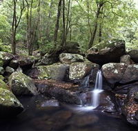 Kangaroo River - Accommodation Sunshine Coast