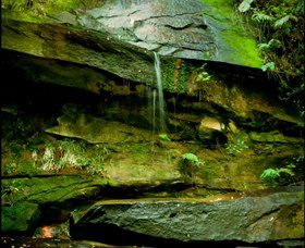 Niagara Park NSW Accommodation Sunshine Coast