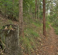 Border loop walk - Accommodation Sunshine Coast