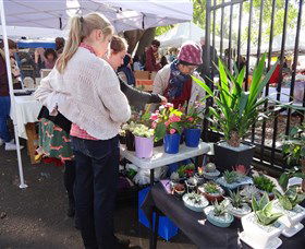 Glebe Markets - Accommodation Sunshine Coast 3