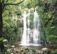 Budderoo National Park - The Falls Walk - Accommodation Sunshine Coast