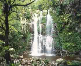 Budderoo National Park - The Falls Walk - Accommodation Sunshine Coast 0