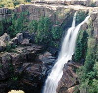 Minnamurra Rainforest Centre Budderoo National Park - Accommodation Sunshine Coast