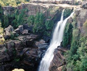 Minnamurra Rainforest Centre: Budderoo National Park - Accommodation Sunshine Coast 0