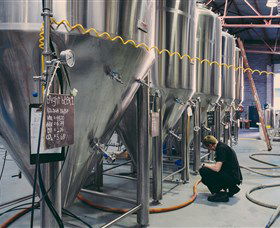 4 Pines Brewing Company - Accommodation Sunshine Coast 6