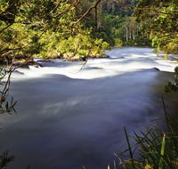 Nymboi-Binderay National Park